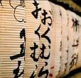 Japán diákok érkeztek Szolnokra