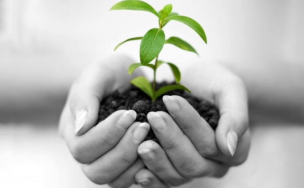 Számos fejlesztés indulhat meg Szolnokon